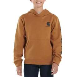 Carhartt Boys Brown Long Sleeve Graphic Sweatshirt
